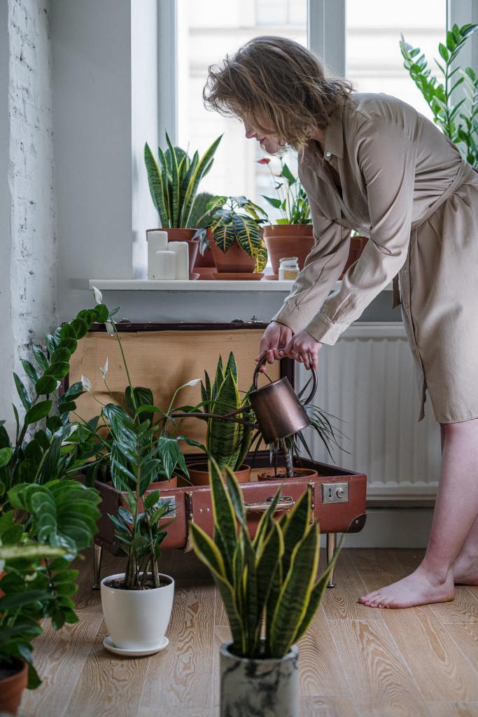 woman watering plants